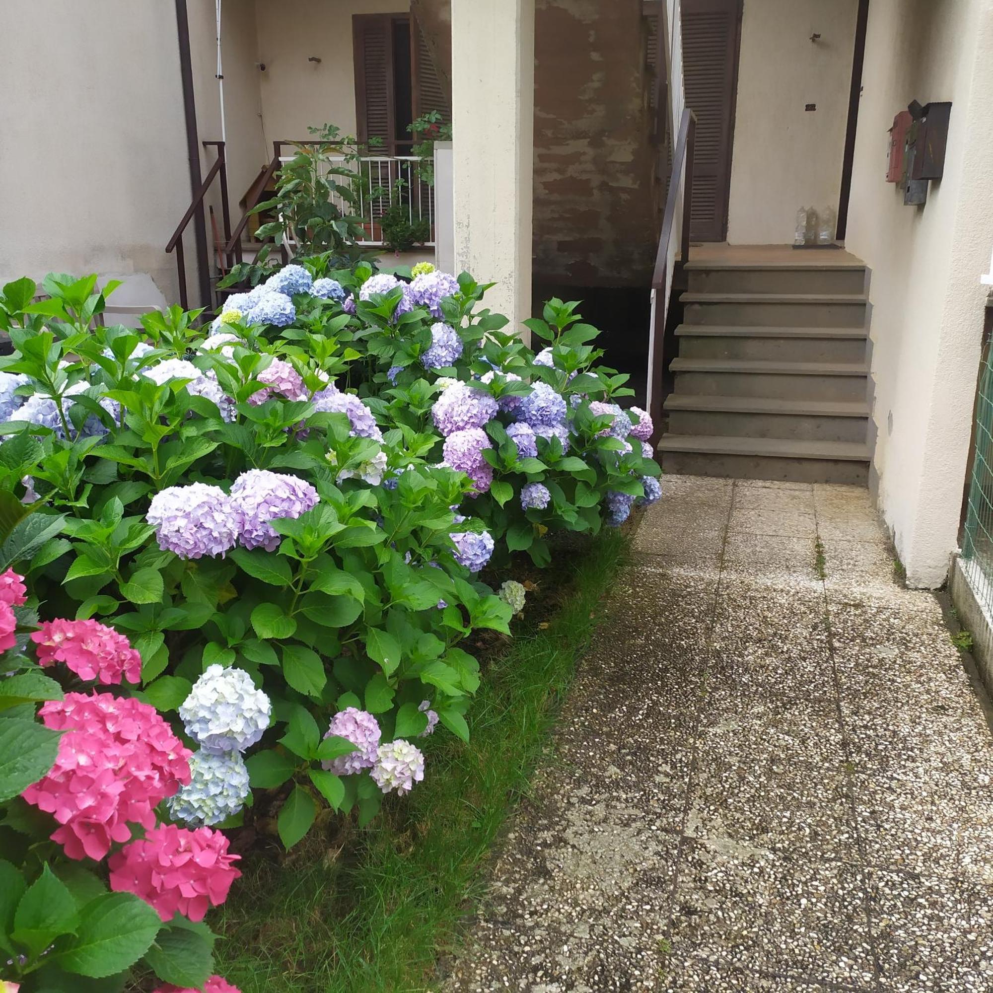 Apartment Santa Maria Bolsena Exteriör bild
